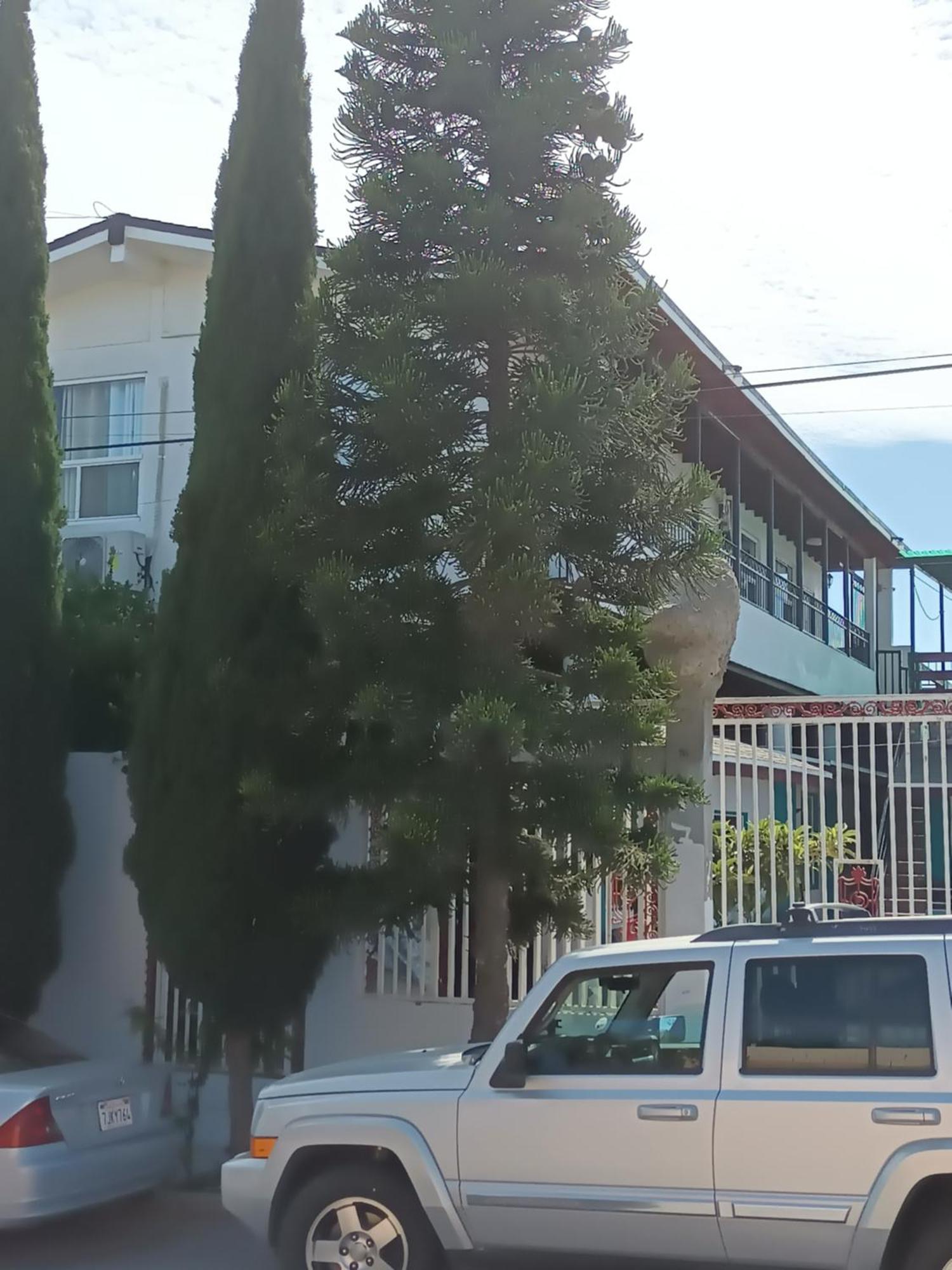 Apartamentos Rosarito.!! Con Vista Al Mar ! 外观 照片